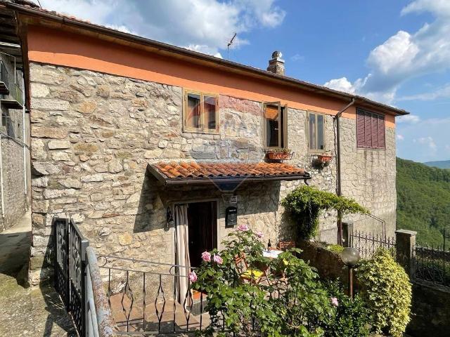 Villa Indipendente in vendita a Unione dei comuni Media Valle del Serchio, Montefegatesi