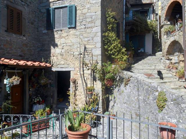 Villa Indipendente in vendita a Unione dei comuni Media Valle del Serchio, Ponte A Serraglio