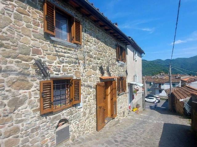 Villa Indipendente in vendita a Unione dei comuni Media Valle del Serchio, Ponte A Serraglio
