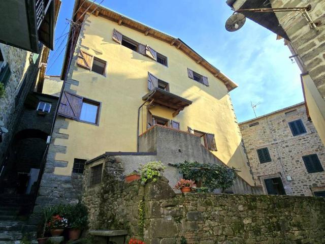 Villa Indipendente in vendita a Unione dei comuni Media Valle del Serchio, Ponte A Serraglio