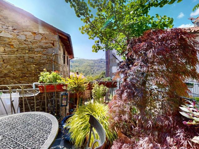 Villa Indipendente in vendita a Unione dei comuni Media Valle del Serchio, San Gemignano