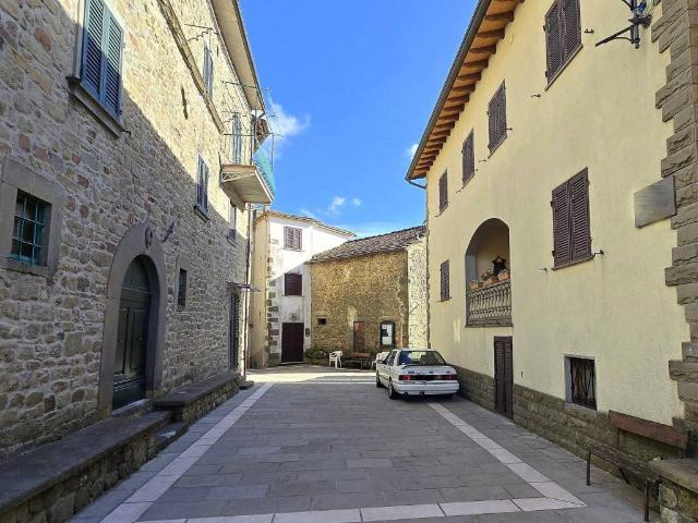 Villa Indipendente in vendita a Unione dei comuni Media Valle del Serchio, Casabasciana