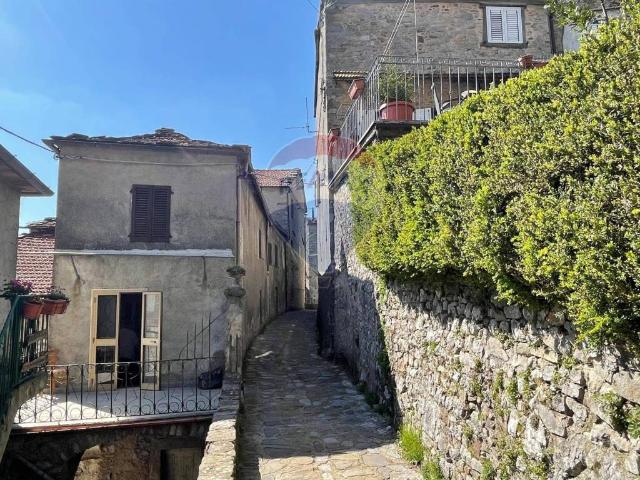 Villa Indipendente in vendita a Unione dei comuni Media Valle del Serchio, Montefegatesi