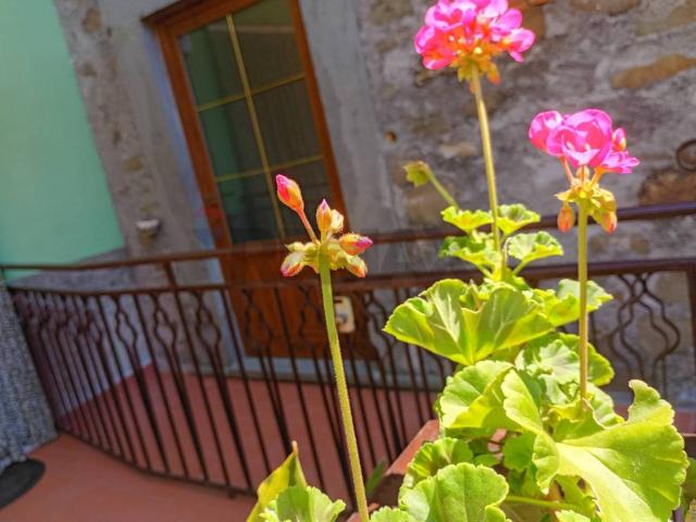 Villa Indipendente in vendita a Unione dei comuni Media Valle del Serchio, San Gemignano