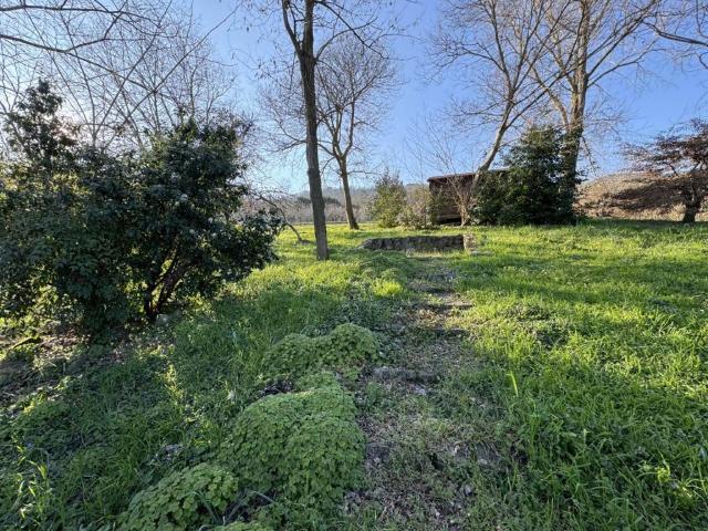 Villa Indipendente in vendita a Baone, Veneto