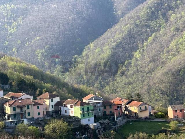Villa Indipendente in vendita a Bargagli, Liguria