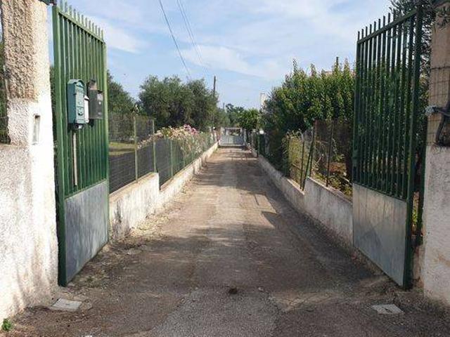 Villa Indipendente in vendita a Municipio 2, Puglia