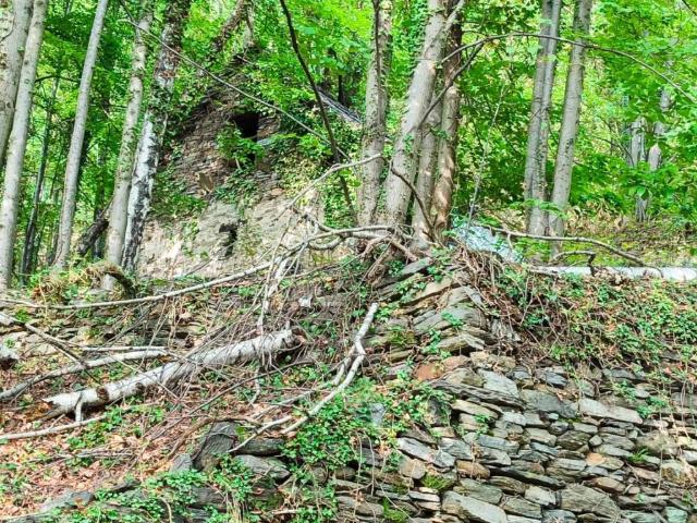 Villa Indipendente in vendita a Piemonte, Verbano-cusio-ossola