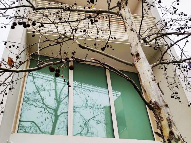 Villa Indipendente in vendita a Bitritto, Bari