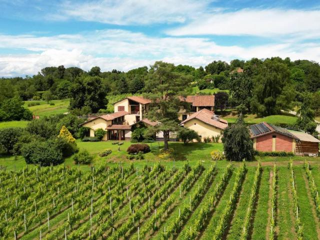 Villa Indipendente in vendita a Piemonte, Novara