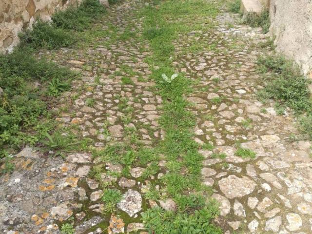 Villa Indipendente in vendita a Bompietro, Sicilia