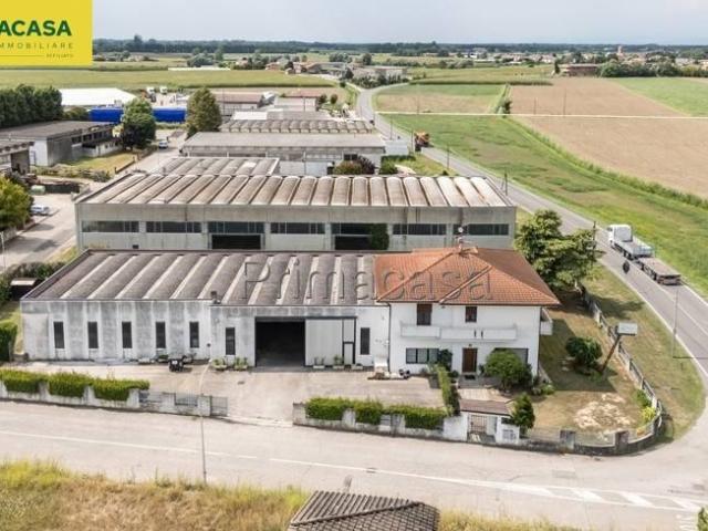 Villa Indipendente in vendita a Bonavigo, Veneto