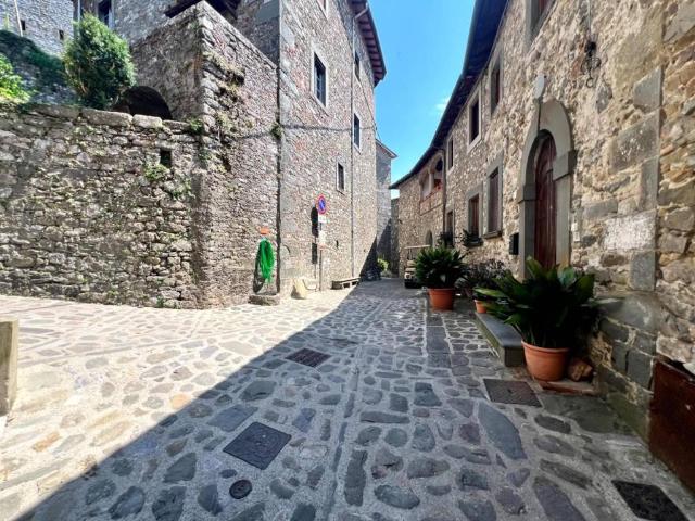 Villa Indipendente in vendita a Unione dei comuni Media Valle del Serchio, Borgo A Mozzano