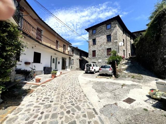 Villa Indipendente in vendita a Unione dei comuni Media Valle del Serchio, Borgo A Mozzano