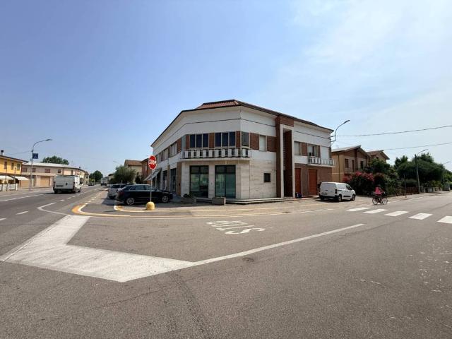 Villa Indipendente in vendita a Borgo Mantovano, Villa Poma