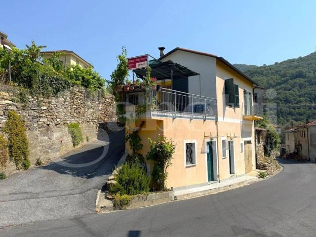 Villa Indipendente in vendita a Borgomaro, Liguria