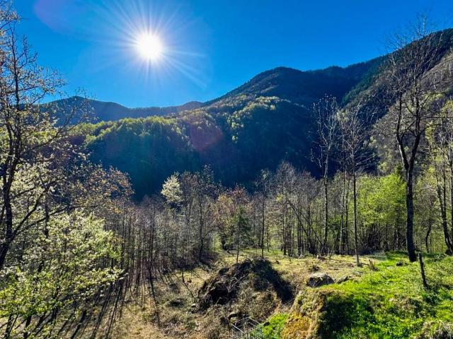 Villa Indipendente in vendita a Bannio Anzino, Piemonte