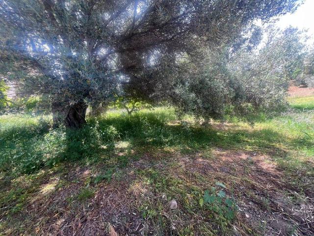 Villa Indipendente in vendita a Calabria, Reggio Calabria