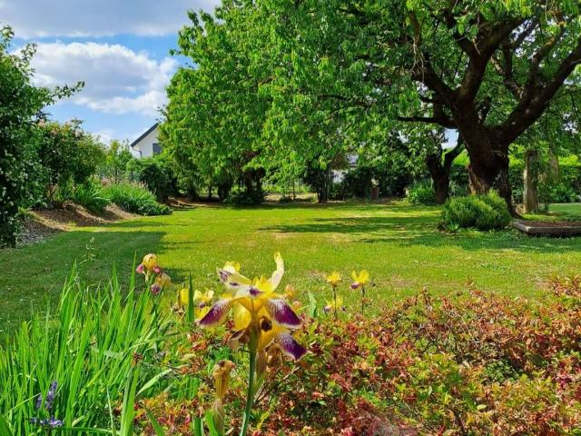 Villa Indipendente in vendita a Piemonte, Novara