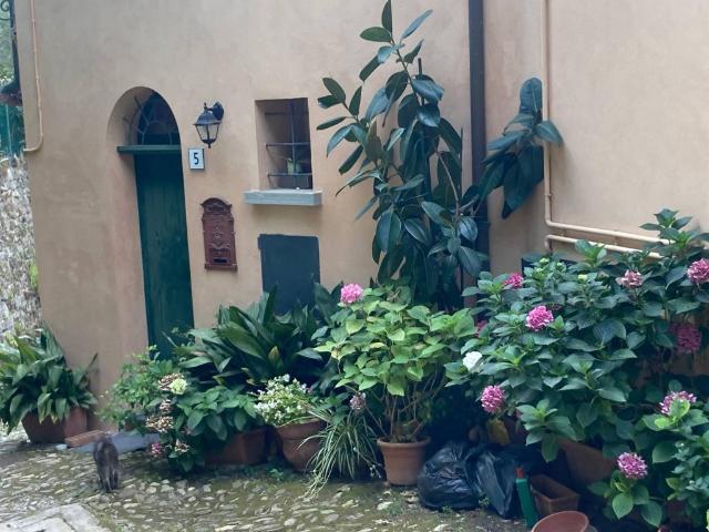 Villa Indipendente in vendita a Unione della Romagna Faentina, Brisighella