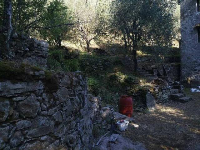 Villa Indipendente in vendita a Buti, Toscana