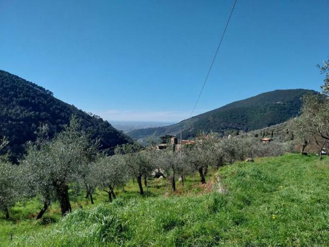 Villa Indipendente in vendita a Calci, Toscana