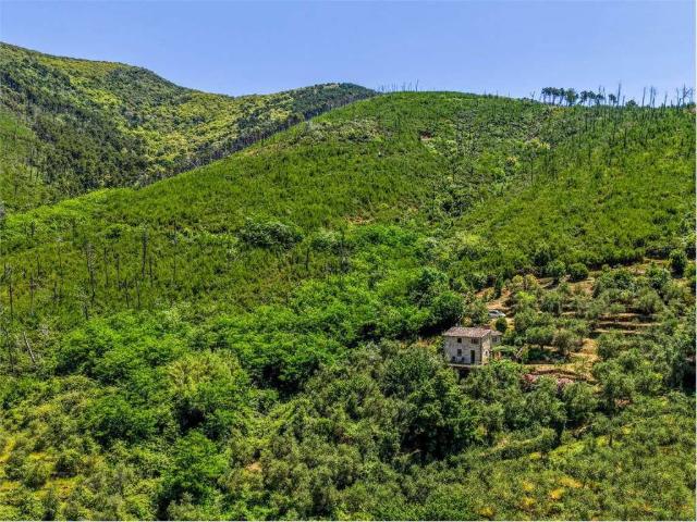 Villa Indipendente in vendita a Montemagno, Calci
