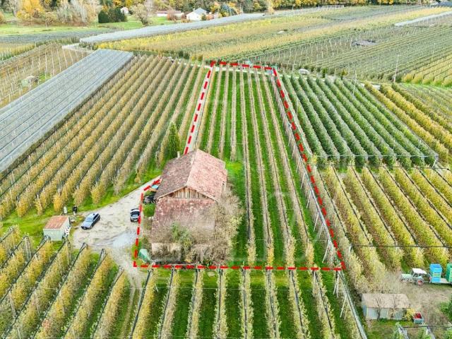 Villa Indipendente in vendita a Überetsch-Unterland - Oltradige-Bassa Atesina, Caldaro - Kaltern