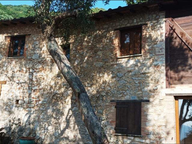 Villa Indipendente in vendita a Camaiore, Toscana