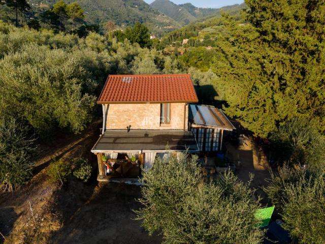 Villa Indipendente in vendita a Marignana, Camaiore