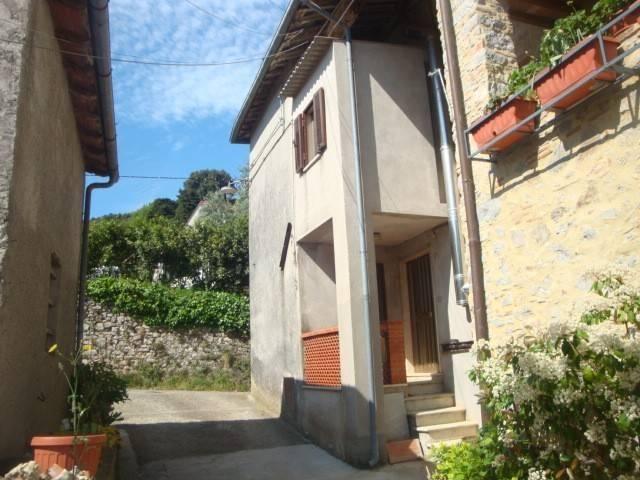 Villa Indipendente in vendita a Castello, Camaiore