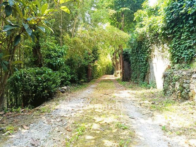 Villa Indipendente in vendita a Arancio, Camaiore
