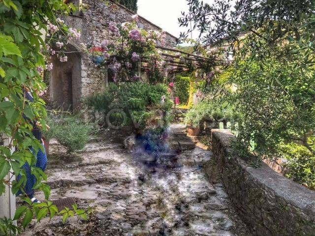 Villa Indipendente in vendita a Castello, Camaiore