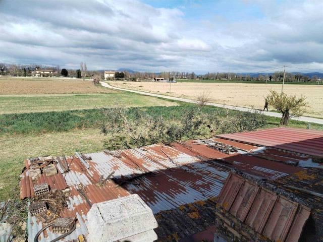 Villa Indipendente in vendita a Bettona, Umbria