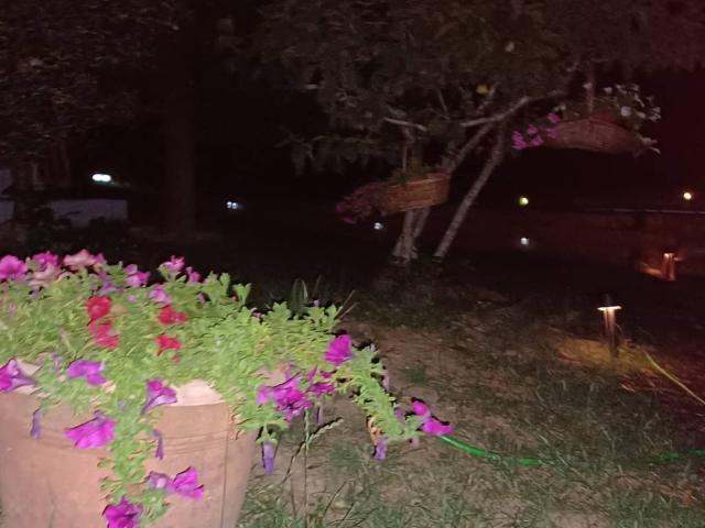 Villa Indipendente in vendita a Cantagallo, Toscana