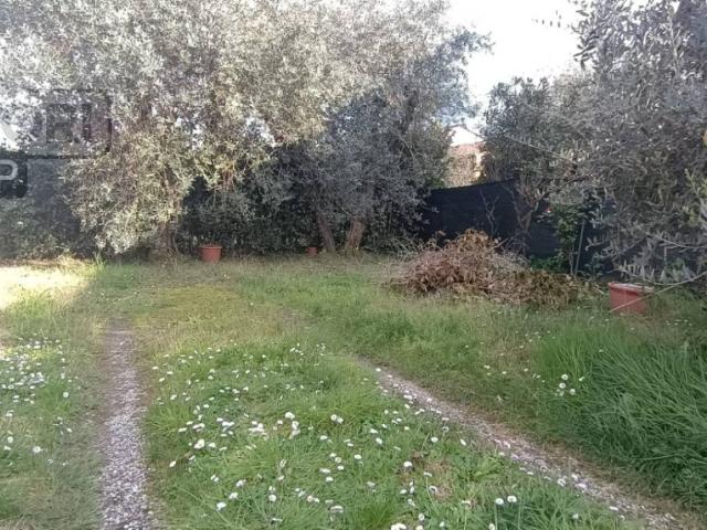 Villa Indipendente in vendita a Capannori, Lucca