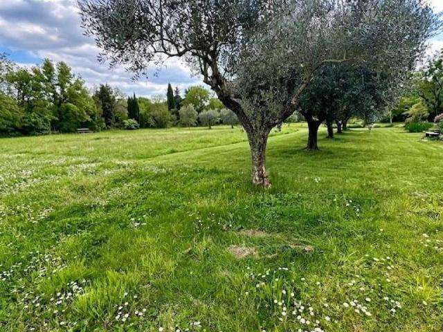 Villa Indipendente in vendita a Capannori, Toscana