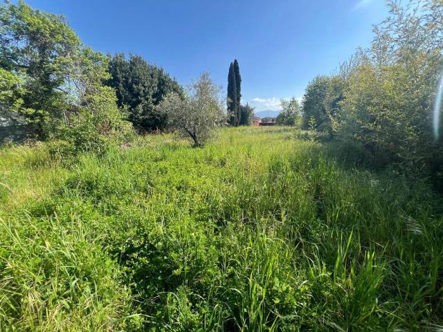 Villa Indipendente in vendita a San Colombano, Capannori