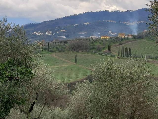 Villa Indipendente in vendita a Santa Margherita, Capannori