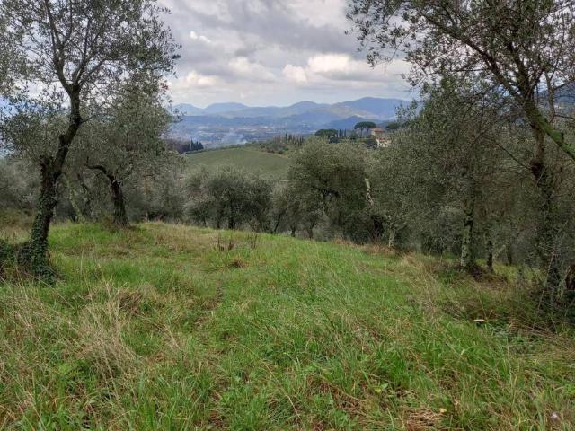 Villa Indipendente in vendita a Santa Margherita, Capannori