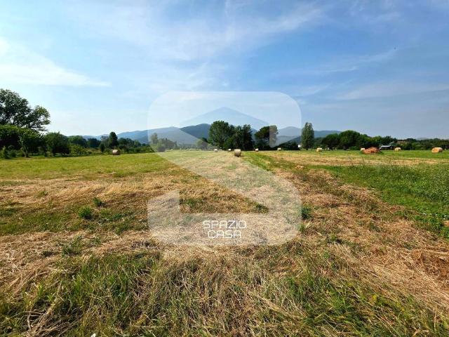 Villa Indipendente in vendita a Capannori, Toscana