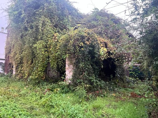 Villa Indipendente in vendita a San Quirico, Capannori