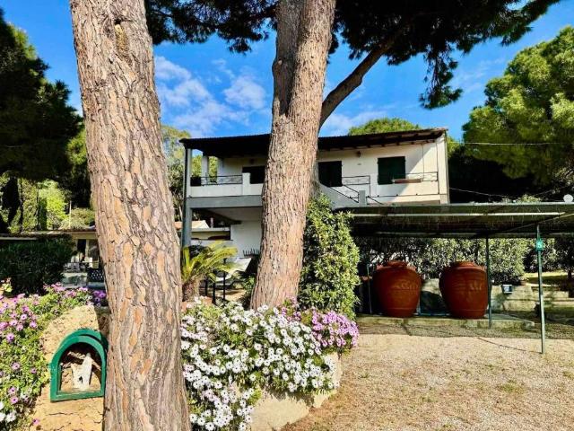 Villa Indipendente in vendita a Madonna delle Grazie, Capoliveri
