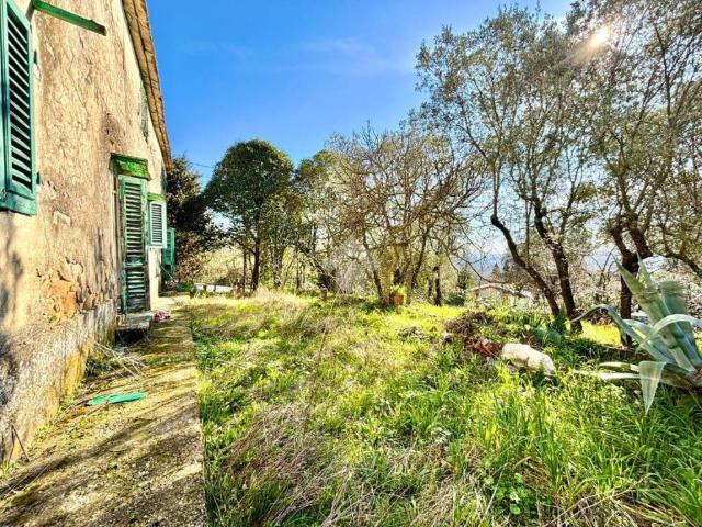Villa Indipendente in vendita a Unione dei Comuni Circondario dell'Empolese Valdelsa, Capraia