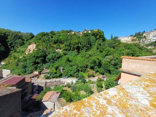 Villa Indipendente in vendita a Caprarola, Lazio