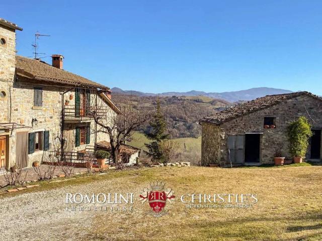 Villa Indipendente in vendita a Caprese Michelangelo, Toscana