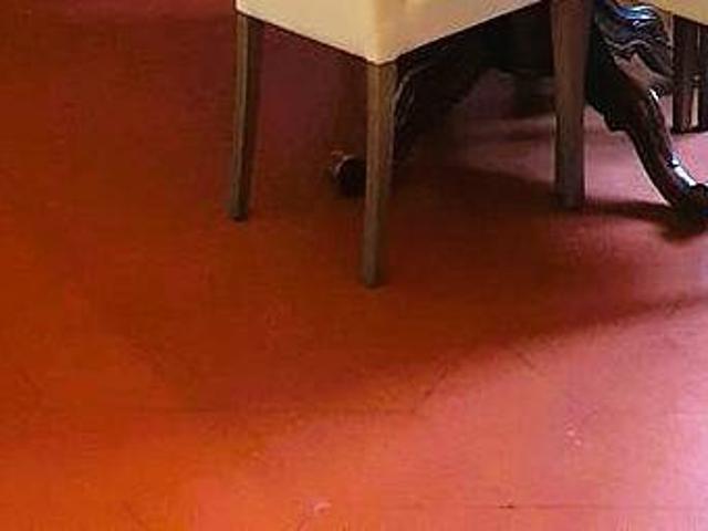 Villa Indipendente in vendita a Carmignano, Toscana