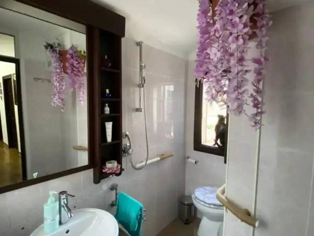Villa Indipendente in vendita a Carovilli, Molise