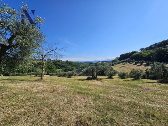 Villa Indipendente in vendita a Molinaccio, Marche