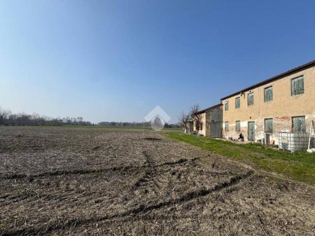 Villa Indipendente in vendita a Cartura, Veneto